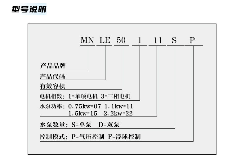 PE1000_ (6).jpg